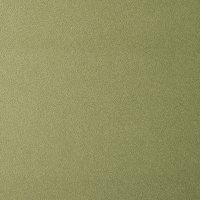 Coloris 5860