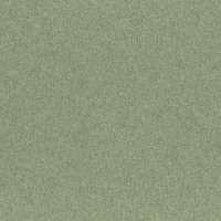 Colour 13