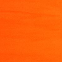 Coloris 509