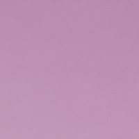 Colour 21