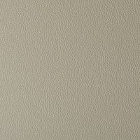 Colour 1007