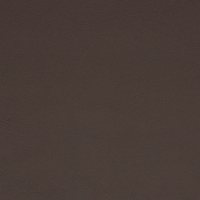 Colour 1006