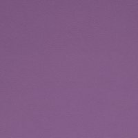 Colour 1010