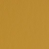 Colour 1033