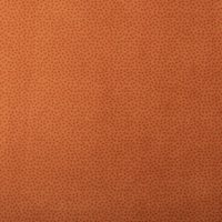 Coloris 1060