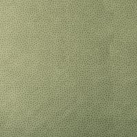 Coloris 1660
