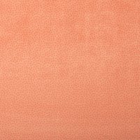 Coloris 4160