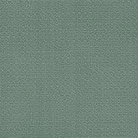 Colour 8