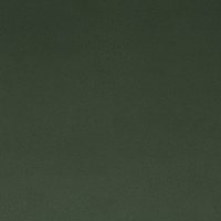 Colour 11