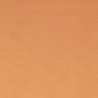 Coloris 6650
